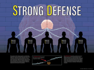 STRONG DEFENSE External HDHM Window Adhesive