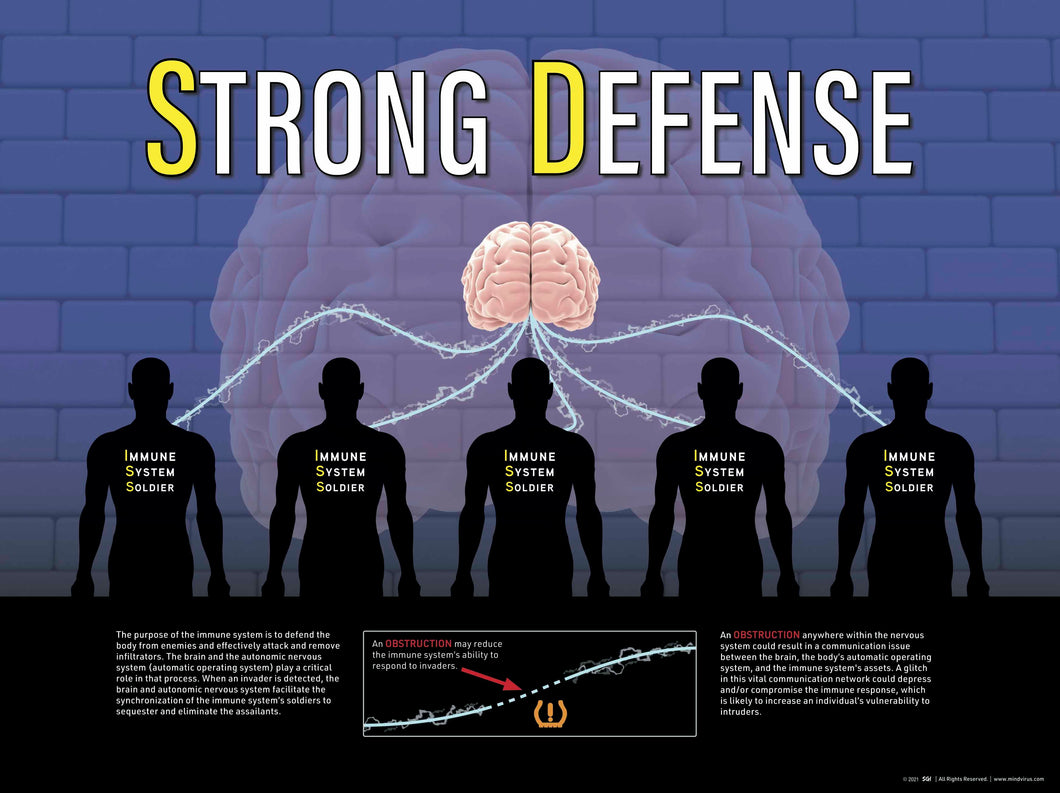 STRONG DEFENSE Internal HDHM Window Cling