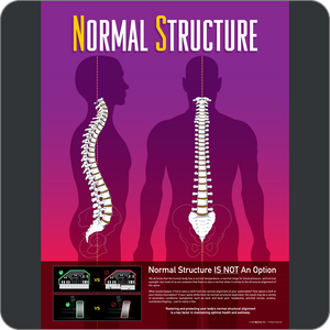 Normal Structure HDHM Window Graphic