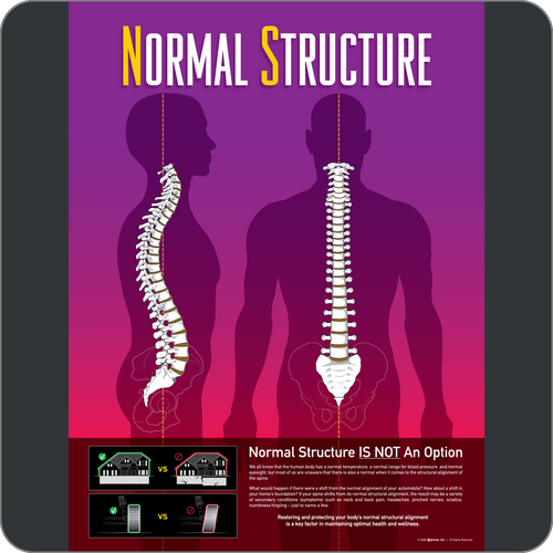 Normal Structure Poster
