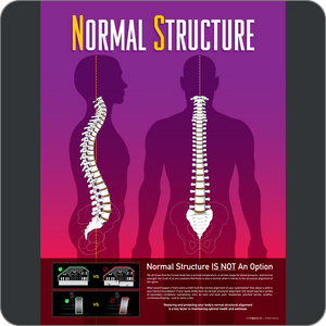 Normal Structure Poster